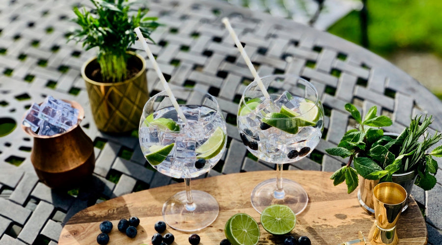 What Are The Best Mixers For Gin?