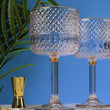 Load and play video in Gallery viewer, Embossed Gin Glasses Set of 2 With Bar Accessories