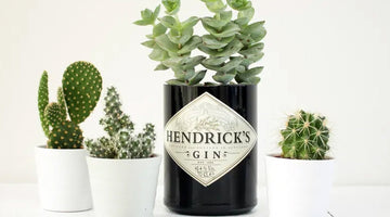 Upcycling Your Empty Gin Bottles