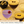 Load image into Gallery viewer, Assorted cocktails in Nick and Nora glasses with gold rims, styled with olives and cherries, showing perfect serve for gifting and celebrations.
