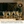 Load image into Gallery viewer, Four Vemacity stemless martini glasses with gold rims and olives on cocktail sticks, displayed on a tray in a modern living room setting.
