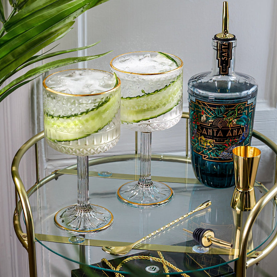 Luxury Embossed Gin Glasses Set of 2 for Gin Lovers - Vemacity